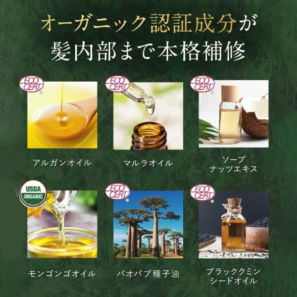 さくらの森【公式】 送料無料 ハーバニエンス シャンプー コンディショナー グリーンローズ ノンシリコン アミノ酸 頭皮ケア 美容室専売 無添加 アミノ酸 ボタニカル くせ毛 低刺激 美容室