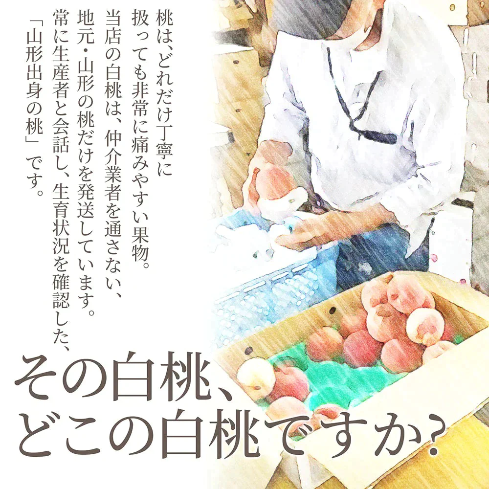 【8月上旬発送】 訳あり 山形 白桃 ２ｋｇ（６～１０玉前後）クール便 ！ちょっと訳あり桃 固い桃 柔らかい桃 を時期に応じてお届け 硬い桃 【品種指定不可】桃 送料無料 果物 フルーツ【エコ得SALE】