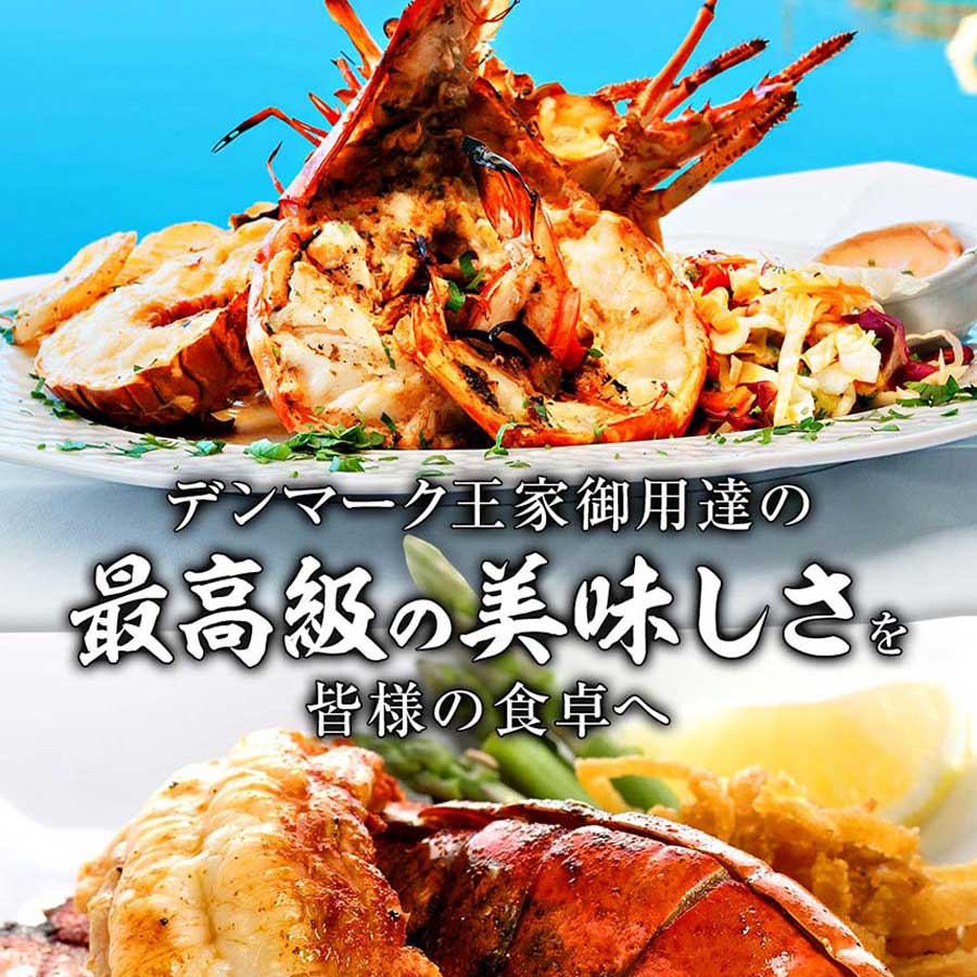 ロブスター オマール海老 ボイル 550g エビ BBQ バーベキュー 贈り物