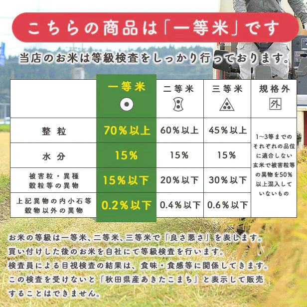 【精米5kg】秋田県産 あきたこまち 5kg　米びつ当番【天鷹唐辛子】プレゼント付き【ゲリラセール】