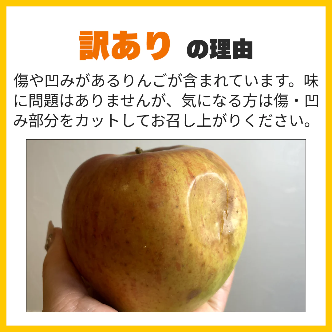 訳ありレスキューりんご 約5kg 長野県産 家庭用  品種混合 果物 フルーツ【順次出荷】【ゲリラセール】