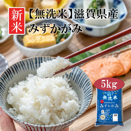 無洗米 米 滋賀県産 近江米 みずかがみ 5kg 令和5年産 新米 お米 白米 おくさま印 国産 食品 ギフト 引っ越し 挨拶 出産 内祝い 母の日 父の日 お中元 お歳暮 結婚 快気 還暦 香典返し お年賀 送料無料