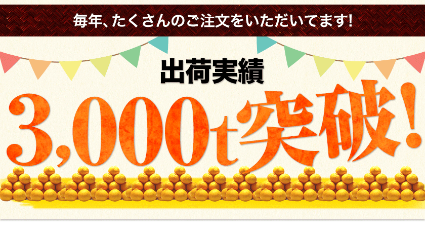 訳あり デコみかん 4.5kg 送料無料 不知火 みかん ミカン 熊本県産 訳あり デコポン と同品種 熊本 柑橘 目玉商品 くまもと風土《3月末頃～4月中旬頃より発送予定》【特産品・ご当地特集】【家計お助けSALE】