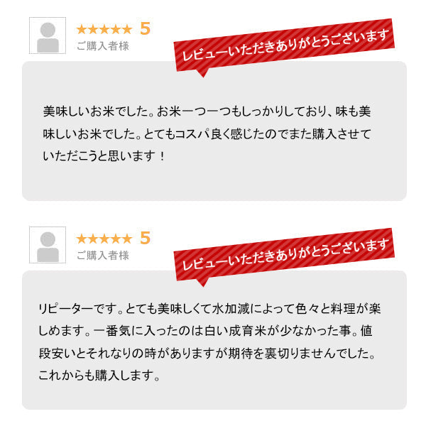 米 10kg 山形産コシヒカリ 令和3年産 お米 白米 10キロ（本州：送料無料）