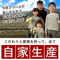 淡路島たまねぎ (訳)  2キロ　Sサイズ〜2Lサイズお任せ【家計お助けSALE】
