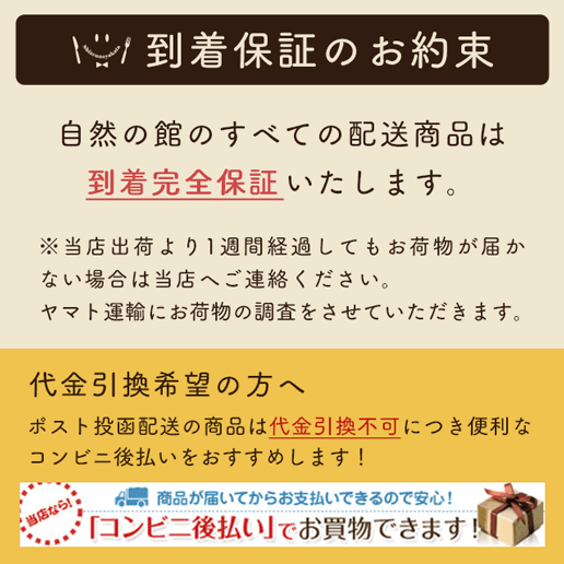 お試しドライフルーツ4種セット　いちじく　デーツ　プルーン　アプリコット