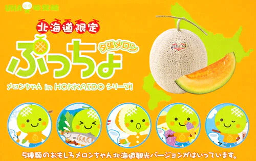 【ご新規さんとシェア買い】北海道限定 ぷっちょ 5個 夕張メロン 送料無料【ご当地ご新規さんFES】