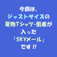 【90cm 男の子 3枚入り】 夏物Tシャツ・肌着 福袋「SKYメール」