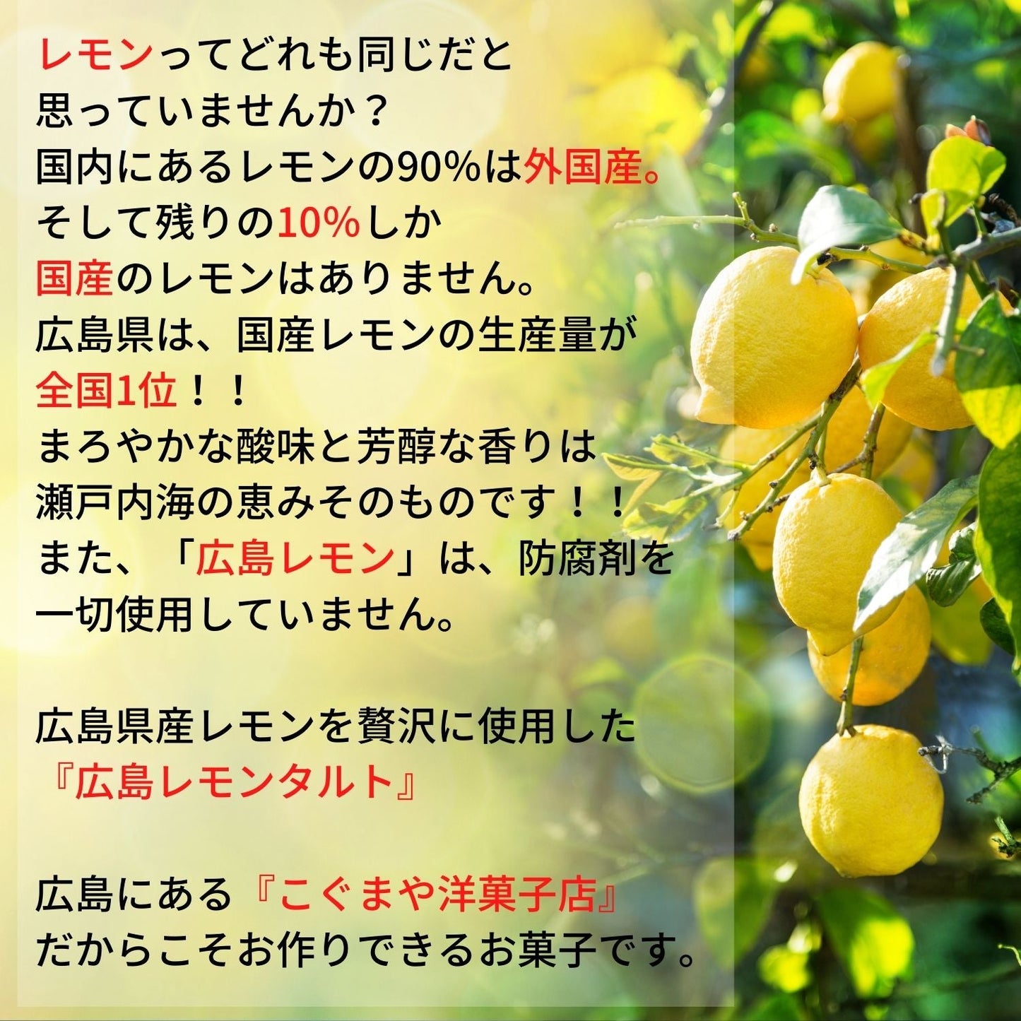 広島レモンタルト５個入