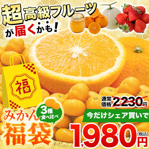 ＼数量限定！／ 福袋 第二弾 みかん 福袋 5kg 前後 送料無料【高級フルーツが当たるかも】訳あり デコみかん デコポン マスク メロン いちご 不知火 八朔 ネーブル 食品 ロス 福袋 食べ比べ セット 旬 柑橘 果物 食品 グルメ フルーツ 予約《3月中旬-3月末旬頃より発送予定》