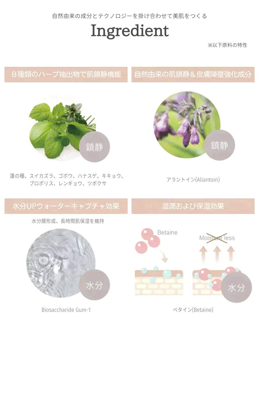 リリベス(LILIBETH) パーフェクトフィッティングフルカバレッジクッションファンデーション　カラー#21 ロージーアイボリー