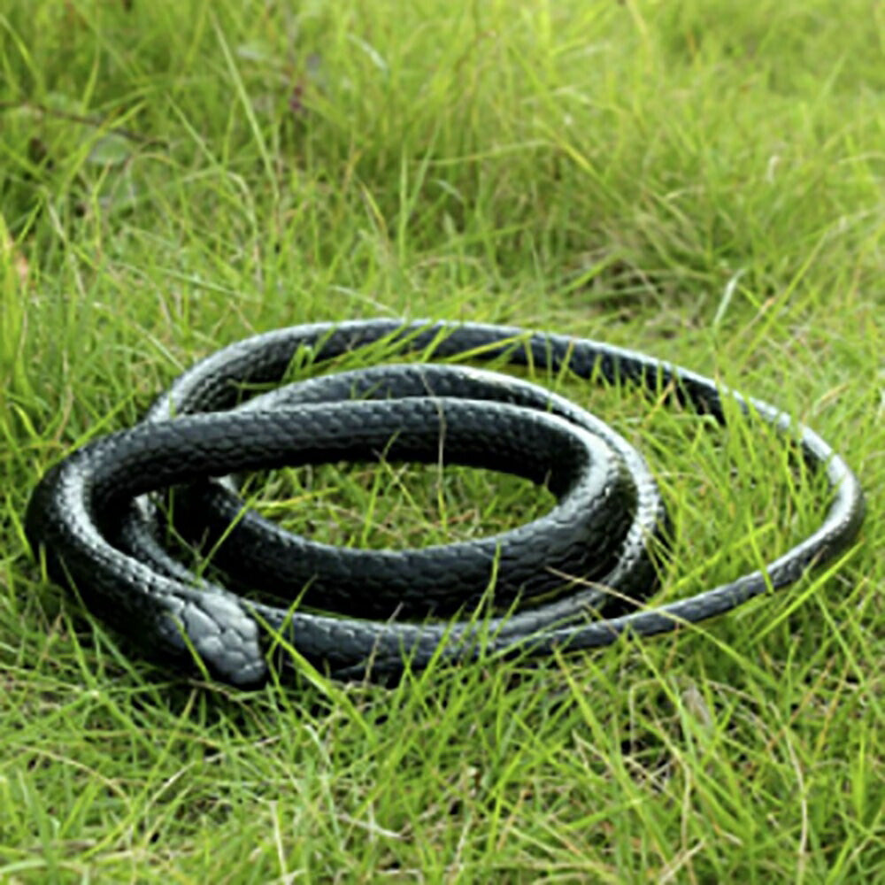 玩具 蛇 ヘビ スネーク snake おもしろ ドッキリ ガラガラヘビ パーティーグッズ 恐怖 爬虫類 悪ふざけ ジョーク おもちゃ 誕生日 クリスマス ギフト サプライズ 手品 マジック マジシャン magic 木製 友人 家族 パーティー
