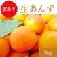 長野県産 生あんず 3kg 訳あり 杏【6月中旬〜7月中旬順次出荷】