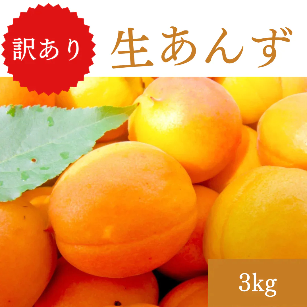 長野県産 生あんず 3kg 訳あり 杏【6月中旬〜7月中旬順次出荷】