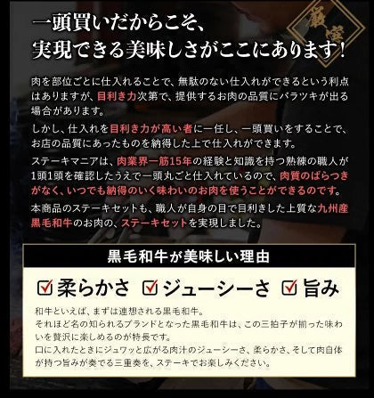 九州産黒毛和牛 厳選ステーキセット ヒレ200g サーロイン300g ステーキ肉 食べ比べ まとめ買いフードロス 食品ロス 削減支援 送料無料