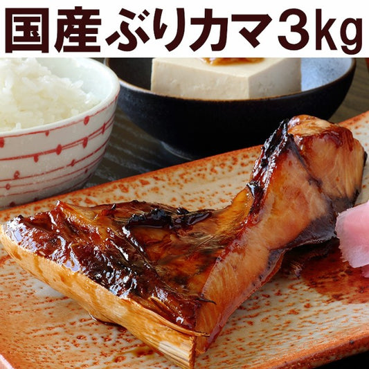 ３kg 業務用ぶりカマ 冷凍