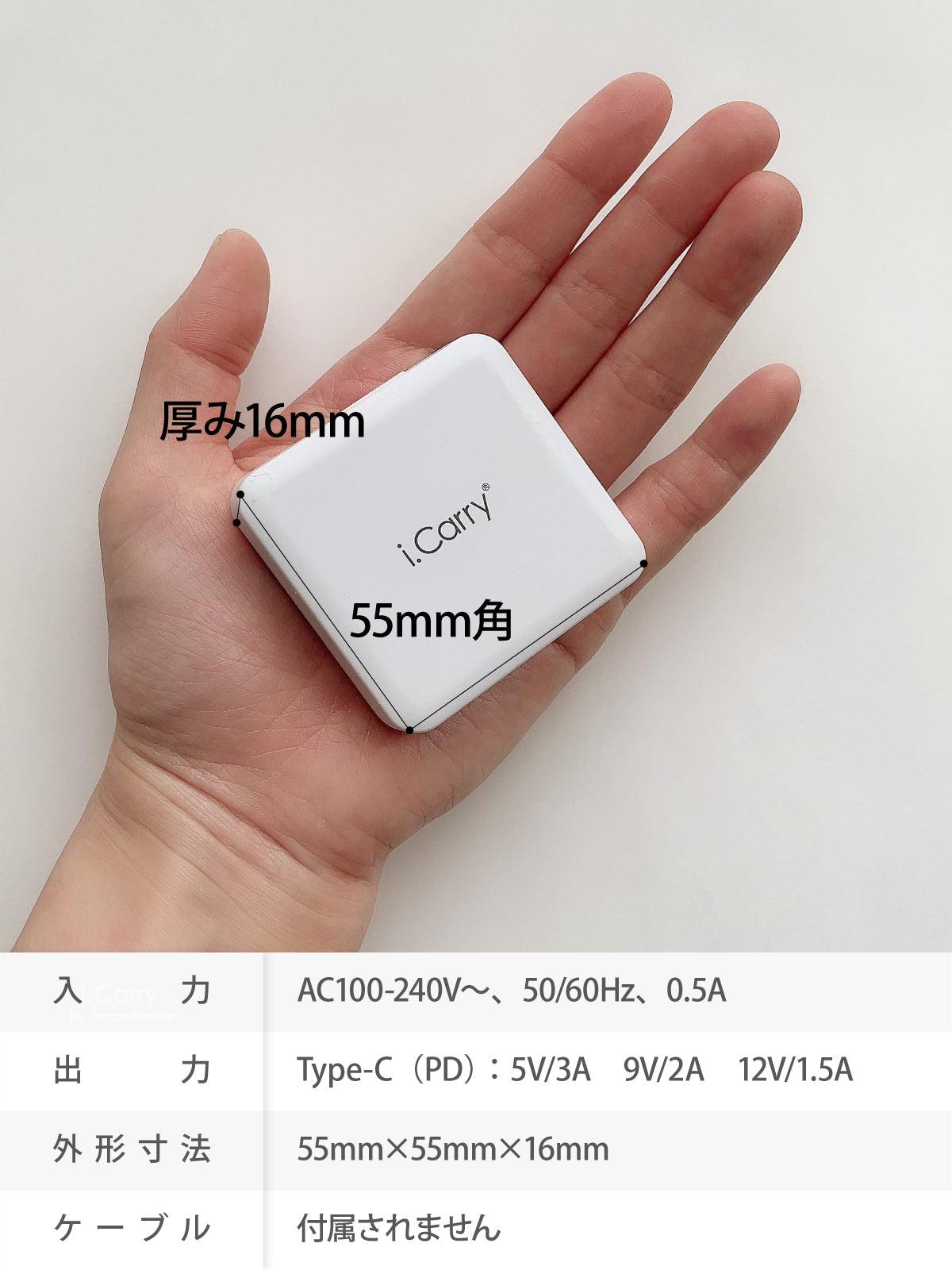 （ホワイト）iCarry PD18w スリム USB コンセント i Phone13 12 充電器 【PD 18W 急速充電】17-AC15P