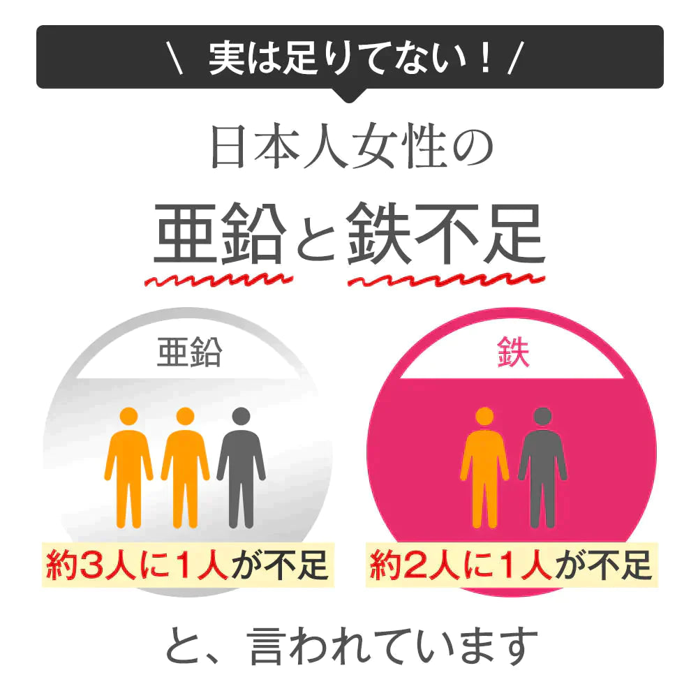 亜鉛＆鉄《1ヶ月分》サプリメント 亜鉛10mg 鉄分10mg【ゲリラセール】