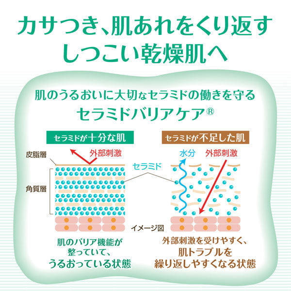 【おまけ付き！】ロート製薬 ROHTO ケアセラ CareCera ケアセラ 泡の高保湿ボディウォッシュ 詰替 385mL [ボディソープ]
