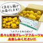 河内晩柑 1.5kg 送料無料 和製 グレープフルーツ 旬 の フルーツ 果物 みかん 別名：夏文旦 愛南ゴールド 宇和ゴールド ジューシーみかん と同品種 晩柑 熊本県産《3月中旬~4月上旬頃発送予定》