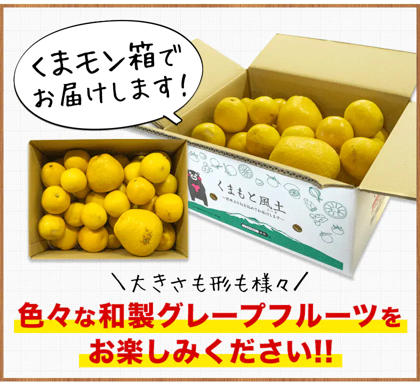 河内晩柑 1.5kg 送料無料 和製 グレープフルーツ 旬 の フルーツ 果物 みかん 別名：夏文旦 愛南ゴールド 宇和ゴールド ジューシーみかん と同品種 晩柑 熊本県産《3月中旬~4月上旬頃発送予定》
