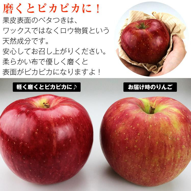 サンふじ 3kg 青森県産 秀A CA貯蔵 産地直送 高木商店 マルタカ りんご 林檎 リンゴ 産直 常温便