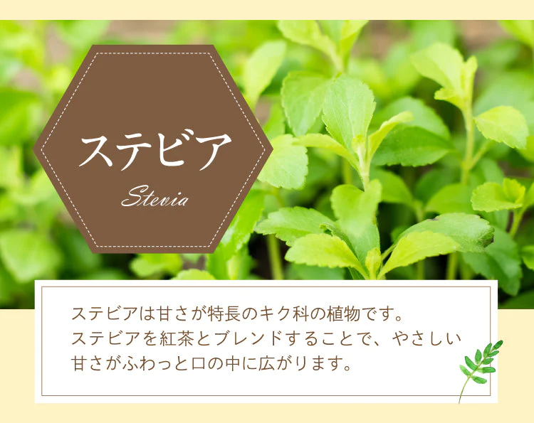 贅沢はちみつ紅茶 カップ用 15個入【母の日SALE】