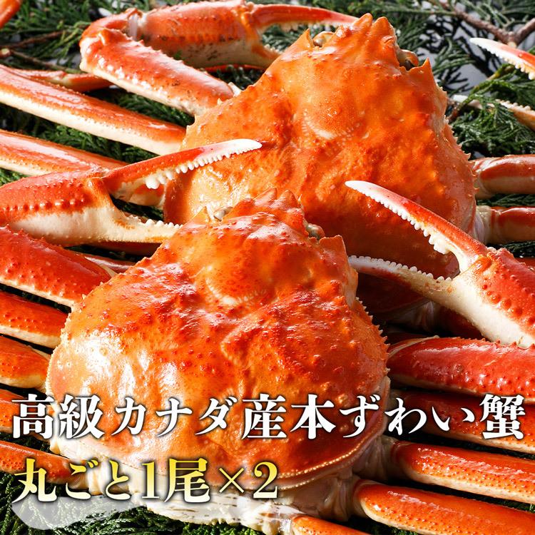 【48時間タイムセール】かに 蟹 カニ 高級カナダ産 特大 ボイル済み 姿ずわい蟹2尾セット約1.4kg 送料無料 お取り寄せグルメ 食品 ギフト 海鮮