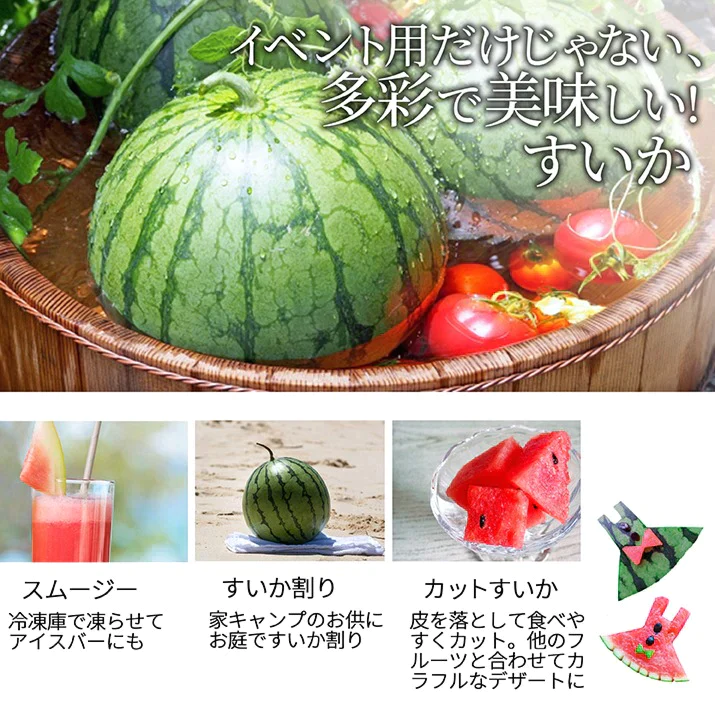 【7月下旬発送】 尾花沢 スイカ 訳あり 1玉 4L 5L（約9kg前後）山形県産 お徳用 ワケあり ワケ待ち 産地直送 キャンプに 海水浴に スイカ割りに ブランド 送料無料 同梱不可 日時指定不可 夏 暑さ対策 食べ物【エコ得】