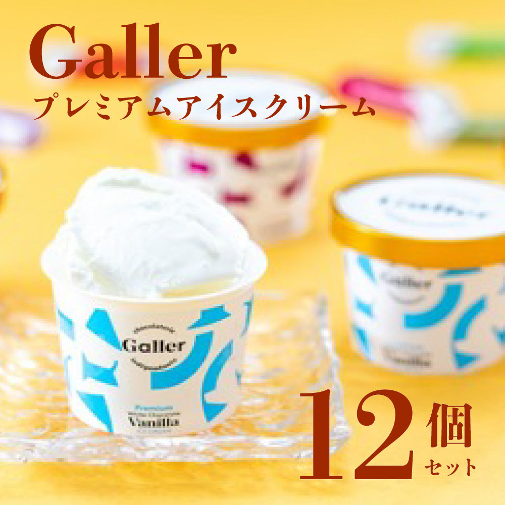 ガレープレミアムアイスクリーム12個セット GLN-12
