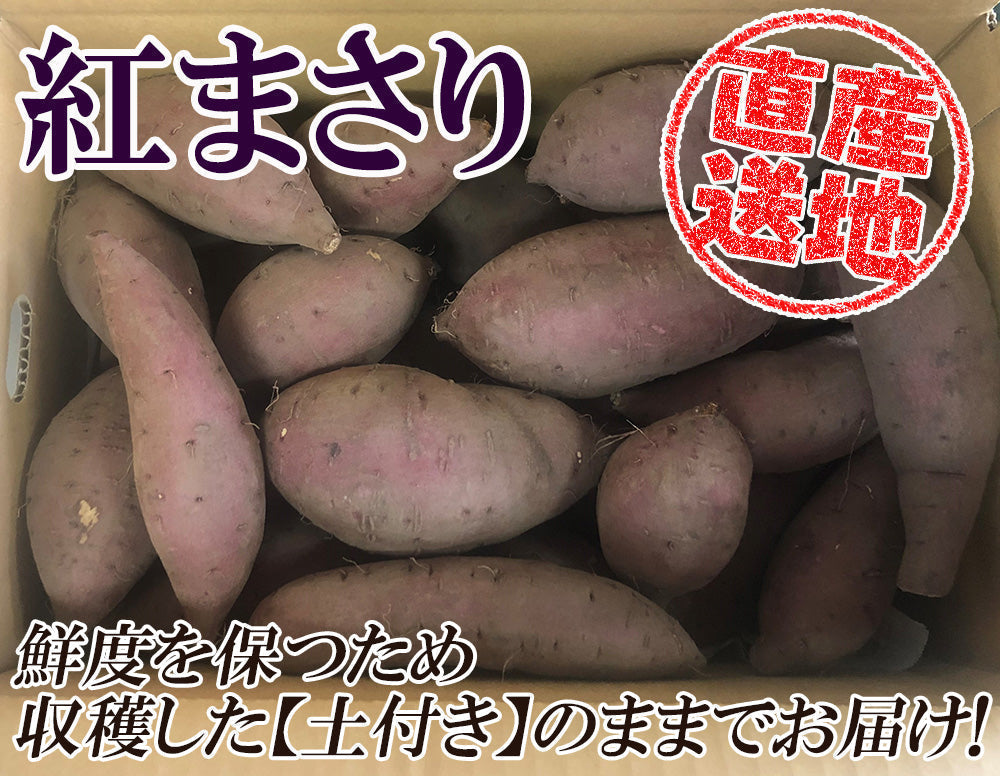 【最安値挑戦祭】紅まさり さつまいも 5kg 送料無料 産地直送 産直 土付き さつま芋 薩摩芋 焼きいも 焼き芋 石焼き芋 芋 いも イモ 鹿児島県産 ngs-005
