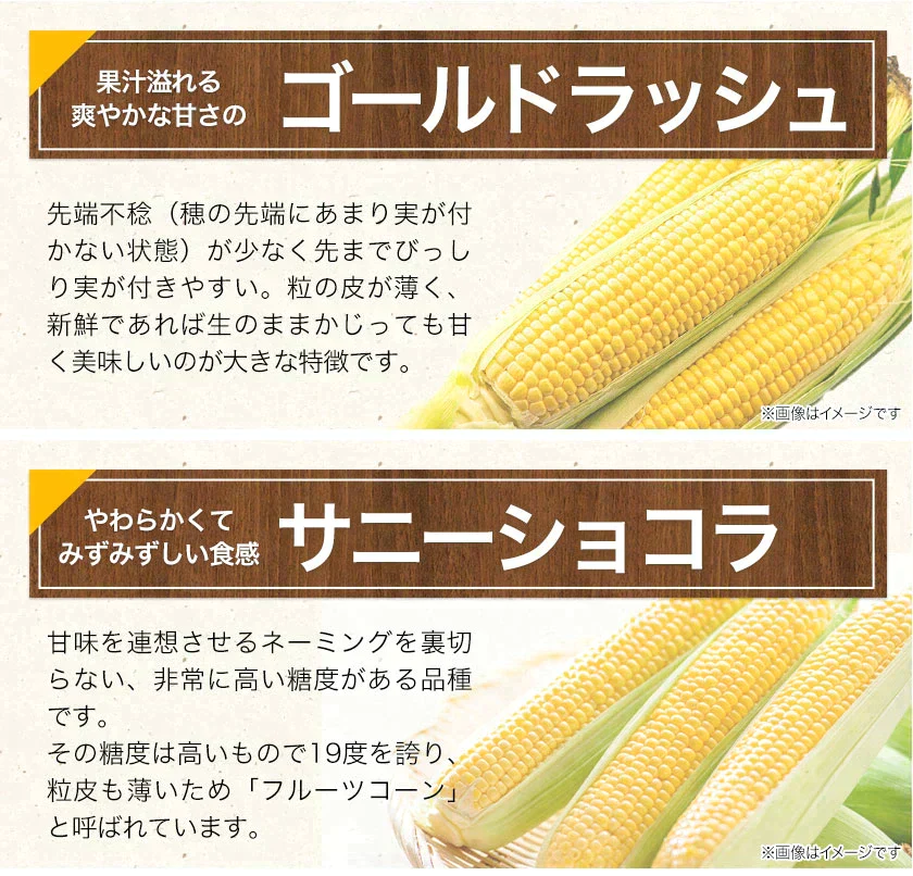 スイートコーン とうもろこし ゴールドラッシュ サニーショコラ 味来 恵味 約1.8kg～約2.4kg 7本入り (3L~L サイズ) 朝採り お取り寄せ お取り寄せグルメ日本最速級《7月中旬〜8月上旬頃より発送予定》