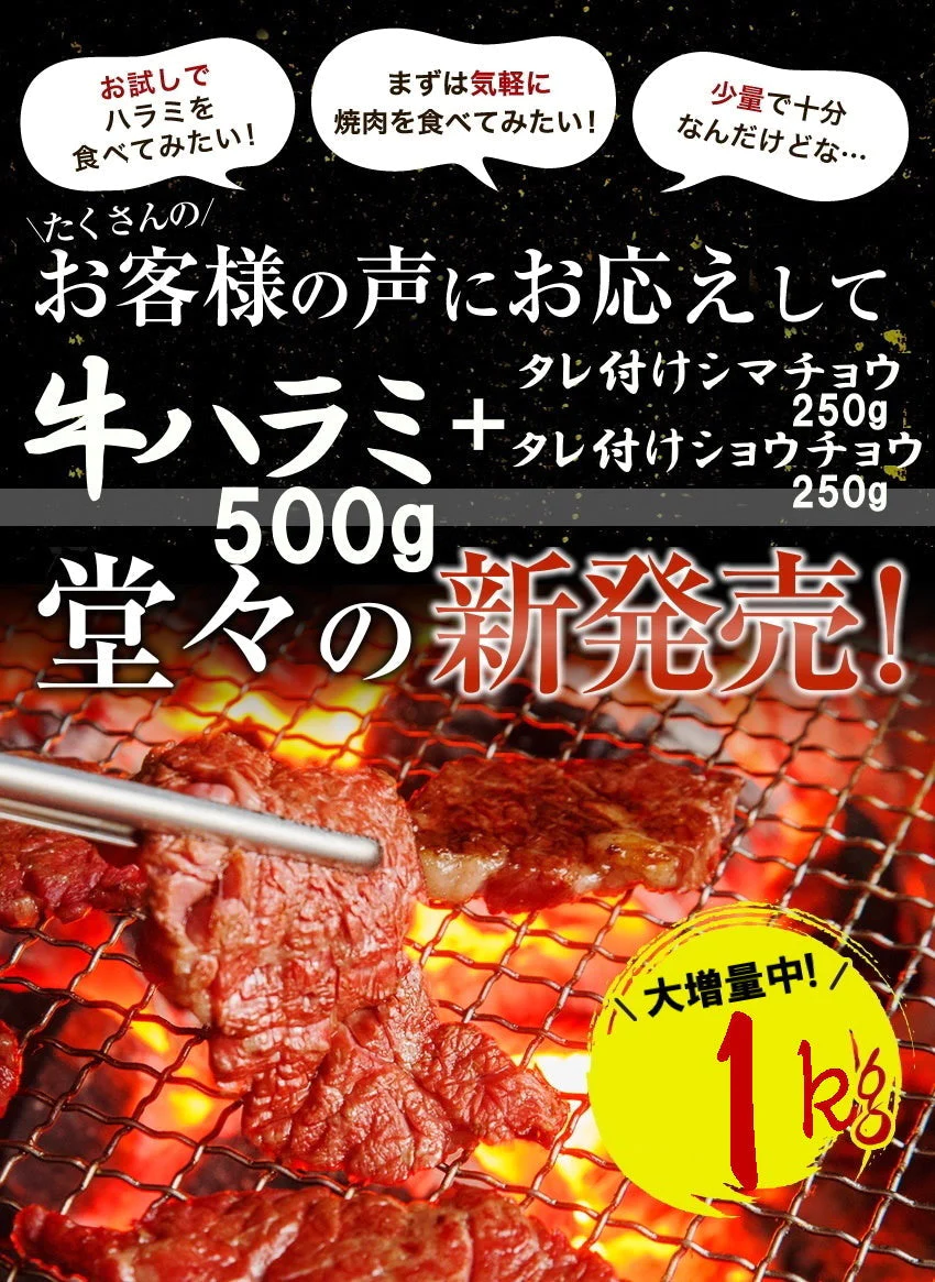 3種焼肉セット（ハラミ500ｇ+タレ漬けシマチョウ250g＋タレ漬けショウチョウ250ｇ）【家計お助けセール】