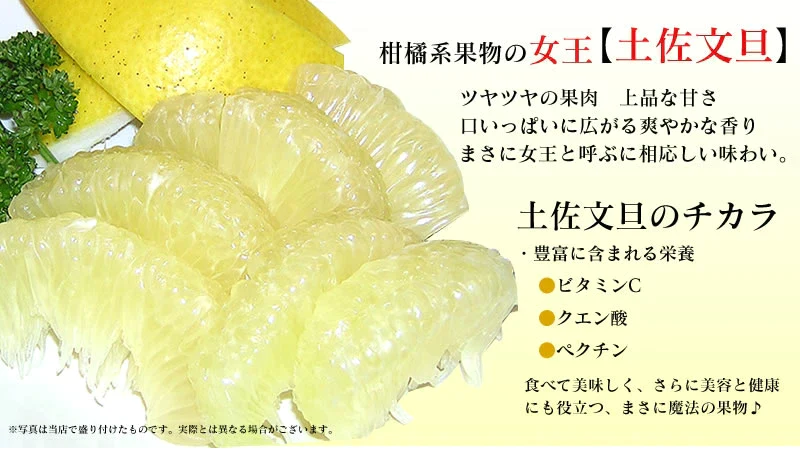 【 送料無料 】 大玉 限定 土佐 文旦 ★ 訳あり 土佐文旦（ 露地 ） 10kg サイズ(価値ある・3L／4L(大玉)限定) わけあり 訳アリ フルーツ 【ご家庭用】(北海道・沖縄は別当送料が必要です) 文旦 母の日 ギフト 花以外