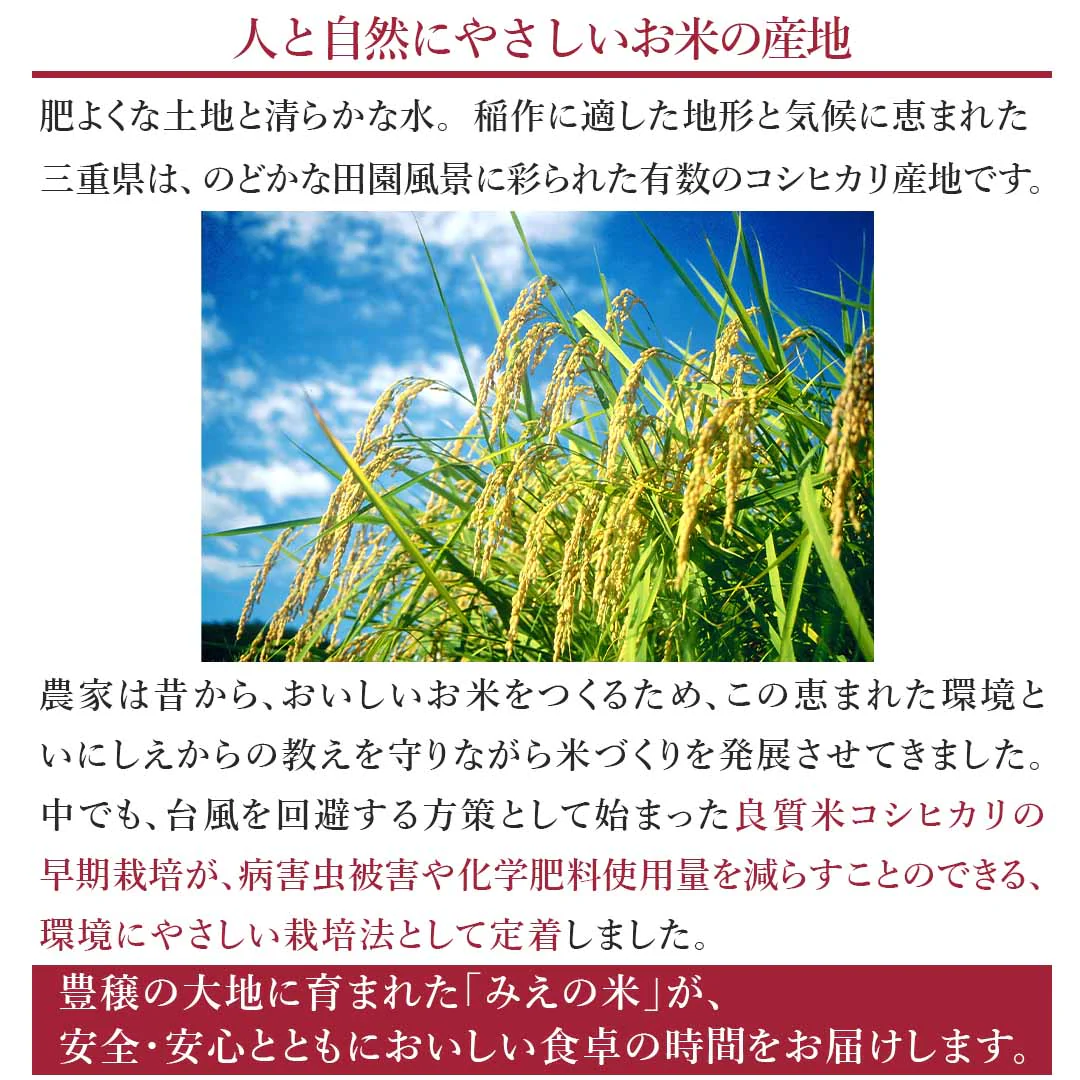 無洗米 米 三重県産 こしひかり 5kg 令和5年産 新米 お米 白米 おくさま印 国産 食品 ギフト 引っ越し 挨拶 出産 内祝い 母の日 父の日 お中元 お歳暮 結婚 快気 還暦 香典返し 寒中 暑中見舞い お年賀 送料無料