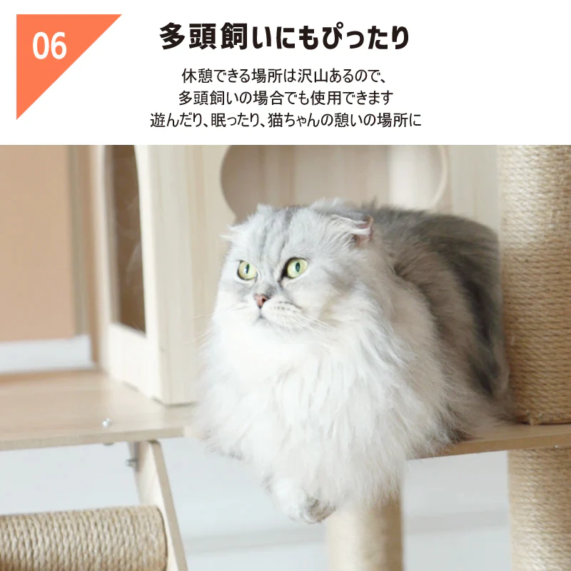 ねこぞくポルカ キャットタワー 185-Y2