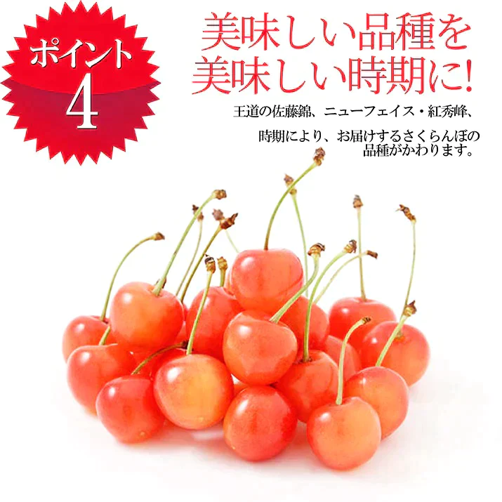 【6月下旬発送】 さくらんぼ 佐藤錦 秀品 L玉 1kg 山形県産を産地直送！ 化粧箱入 お中元 ギフト お中元 ギフト 贈答品として人気です 送料無料 内祝い