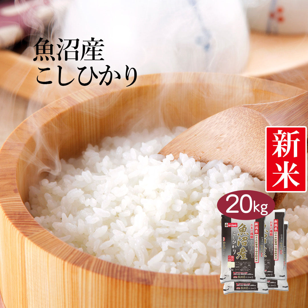 米 精米 新潟県 魚沼産 こしひかり 20kg (5kg×4) 令和5年産 新米 お米 白米 おくさま印 国産 食品 ギフト 引っ越し 挨拶 出産 内祝い 母の日 父の日 お中元 お歳暮 結婚 快気 還暦 香典返し お年賀 送料無料