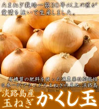 淡路島 たまねぎ かくし玉 5キロ