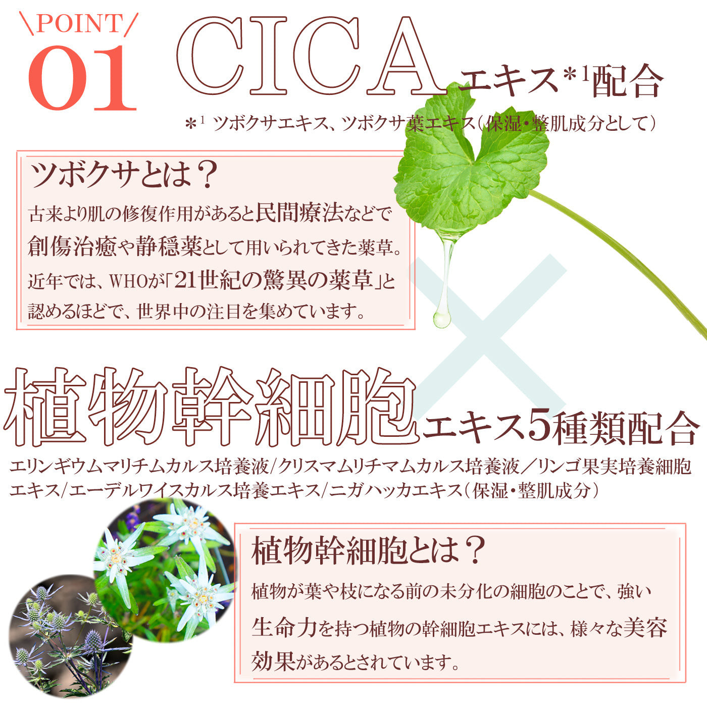 モイストベールクリーム 30g Resetica リセチカ スキンケア クリーム アイクリーム 高保湿 CICA シカ 植物幹細胞 ポンプ 敏感肌 【送料無料】