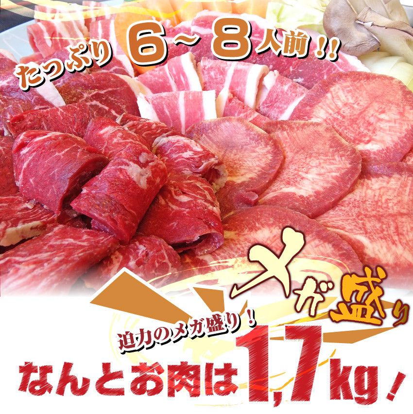 バーベキュー メガ盛り セット 冷凍たっぷり6～8人前 福袋 （ 総重量 2.1kg ）