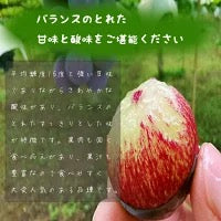 【3人シェア買いでお得】送料無料 岡山産 ピオーネ 2キロ 訳あり 3-4房入 ぶどう プレゼント お祝い ギフト
