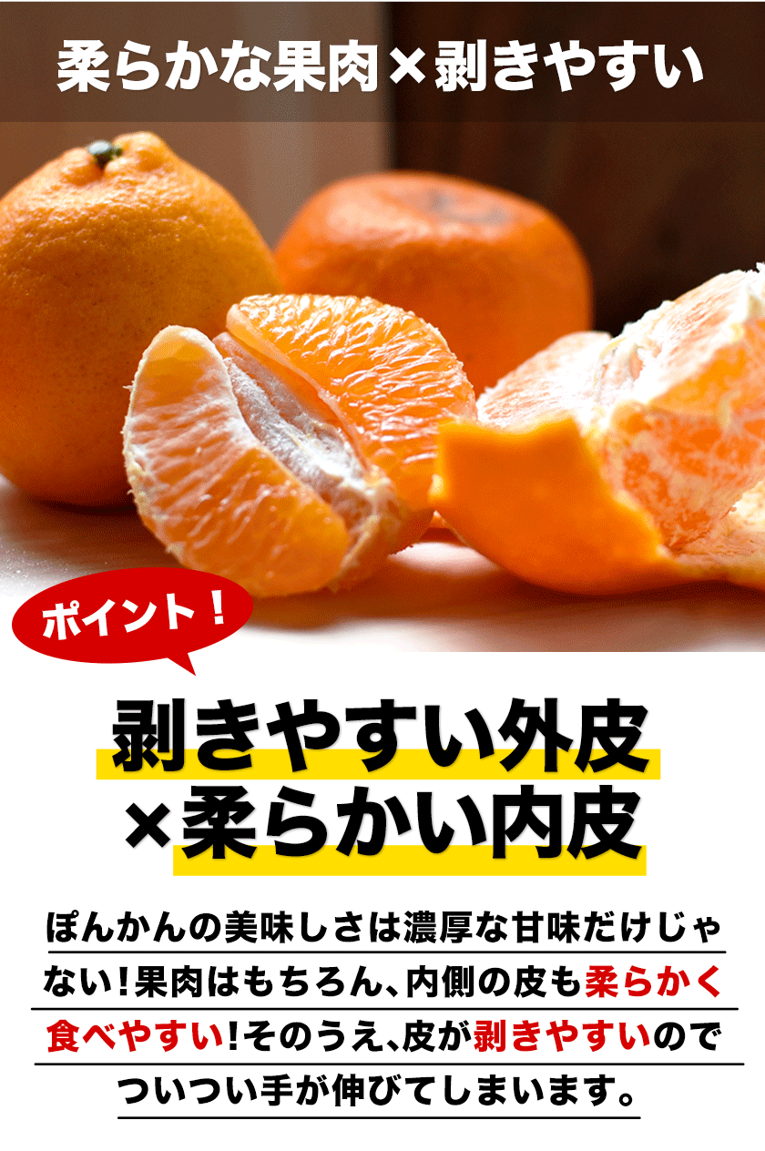【販売解禁】訳あり 甘熟 ポンカン 5kg 送料無料  甘い みかん ぽんかん デコポン の生みの親 箱買い みかん 柑橘 旬の果物 くまもと風土 熊本県産 みかん【最安値に挑戦】2月上旬-2月末頃より発送予定