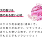 ウィッチズポーチ フィクサー ミスト 120ml ローズの香り ミスト 化粧崩れ メイクキープミスト フィックスミスト メイクミスト おすすめ  韓国コスメ プチプラ 毛穴 透明感 潤い ハリ ツヤ 栄養 美容液 化粧水 プレゼント ギフト コスメ 化粧品 メイク 定形外 250 送料込み