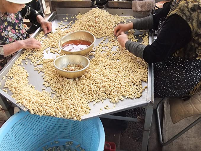 ジーマミ豆腐用 未調理渋皮なし なま落花生500g(クール代込) 千葉県八街産落花生