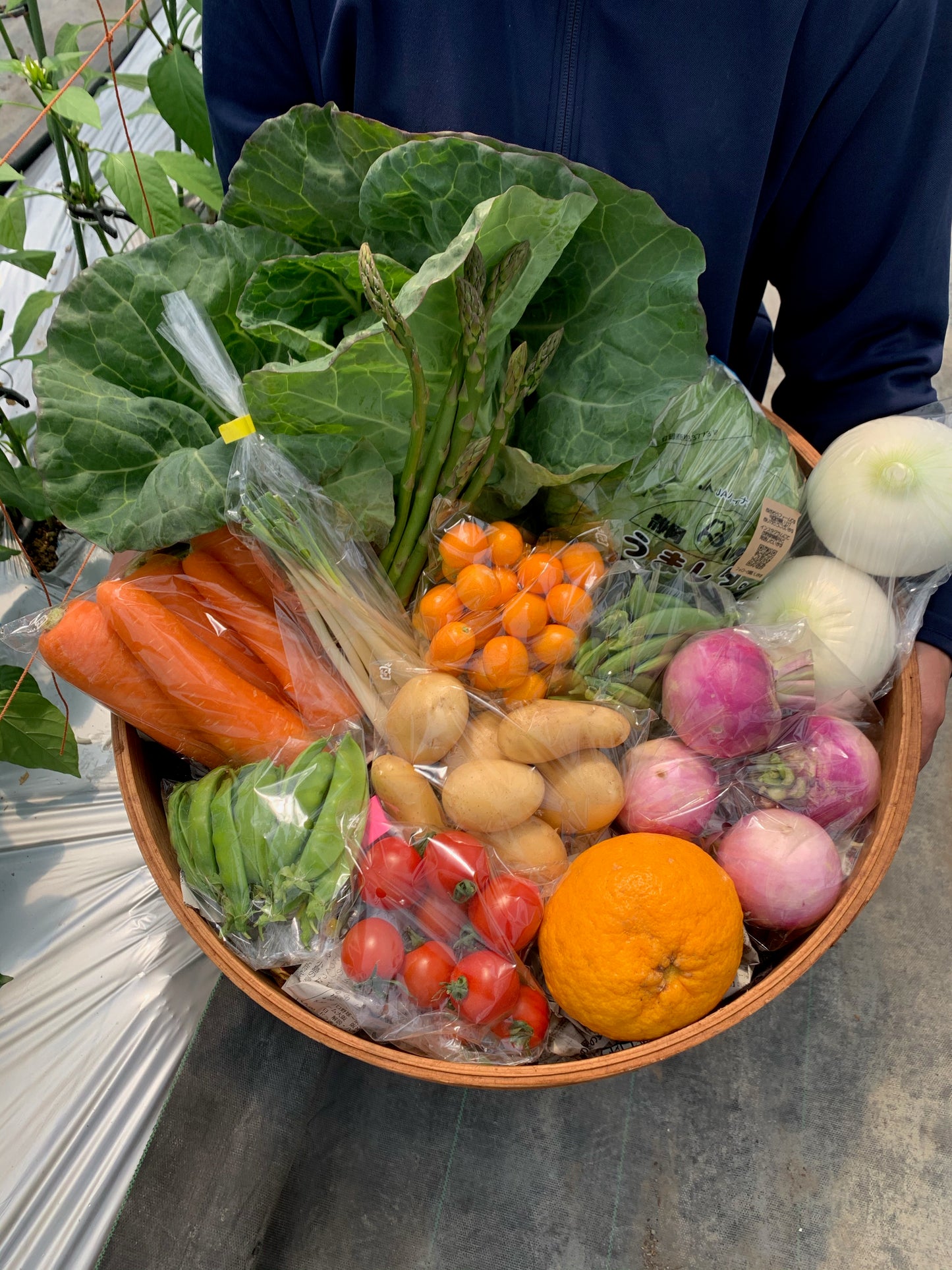 C静岡厳選野菜セット　12～14品