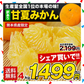 【50人シェア買い企画】会甘夏 みかん 4kg  送料無料 訳あり 熊本県産 名産地 旬のみかん