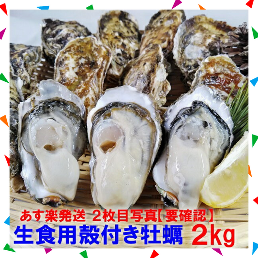 【50人シェア買い企画】「生食用 殻付き 牡蠣 ２ｋｇ」生食用（14~35粒）【一部条件付き要説明確認】牡蠣 殻付き  宮城県産 加熱出荷時増量で３ｋｇ【現在は生食出荷中】 送料無料  【80】