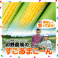 【100人シェア買い企画】とうもろこし 卯野農場 すごあまこーん 6本入り【3L~Lサイズ / 約1.8kg-2.4kg前後】コーン トウモロコシ 朝採り スイートコーン