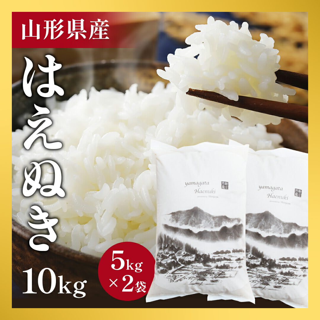 【10人シェア買いでお得】10キロ 山形県産 令和4年度 新米 はえぬき【家計お助けセール】